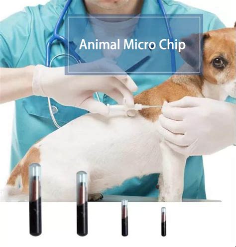 micro rfid tag|micro rfid tag for animals.